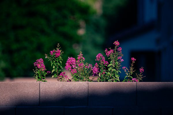 Why Choose Our College?